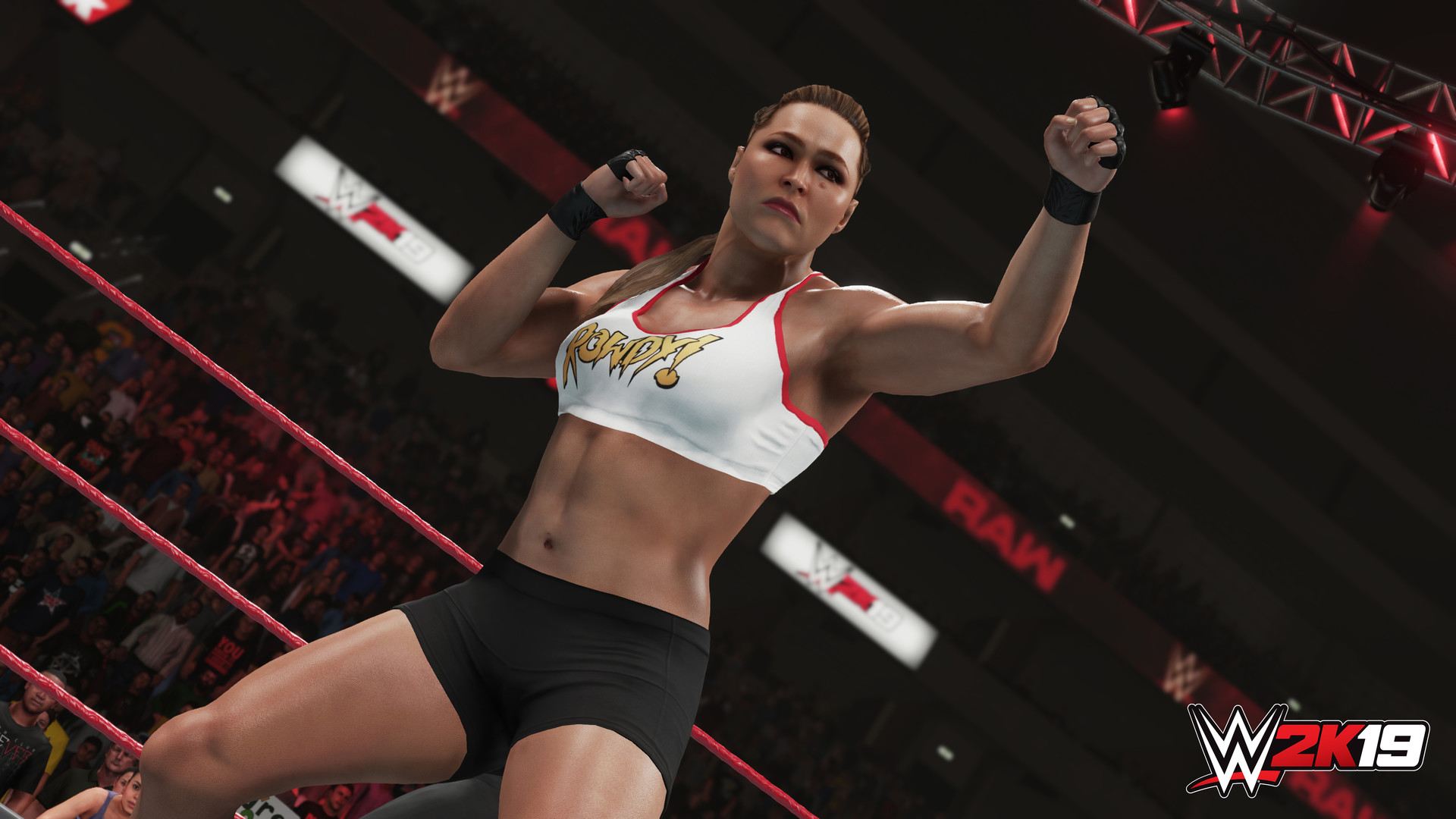 WWE 2K19（WWE 2K19）v2019.11.05九项修改器MrAntiFun版下载