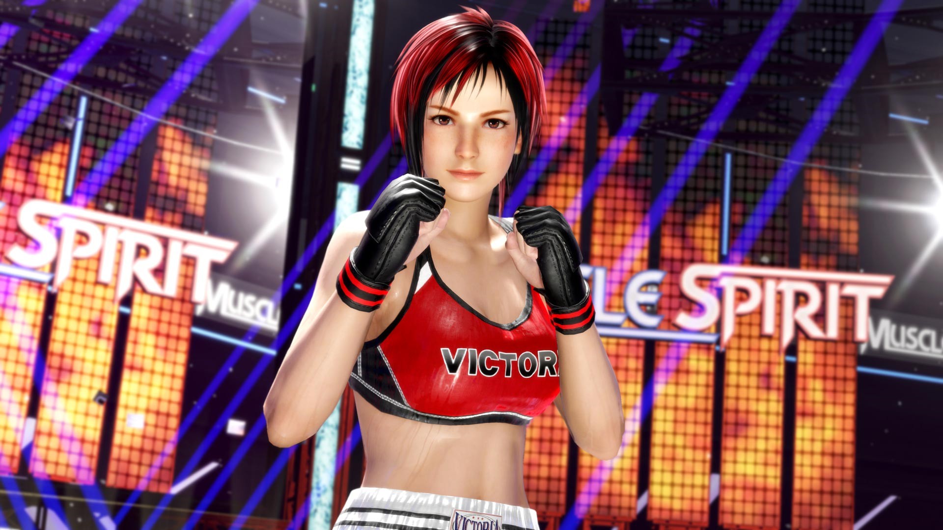 死或生6（Dead or Alive 6）v1.01-v1.20十六项修改器风灵月影版下载