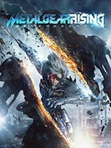 合金装备崛起：复仇（Metal Gear Rising: Revengeance）v1.1十四项修改器LinGon版