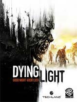 消逝的光芒（Dying Light）枪械强化MOD