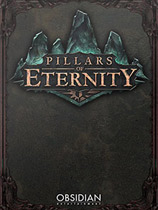 永恒之柱（Pillars of Eternity）派吉娜面容修复MOD