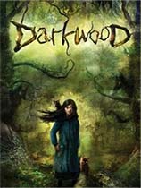 阴暗森林（Darkwood）v1.0五项修改器MrAntiFun版[64位]