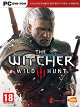 巫师3：狂猎（The Witcher 3: Wild Hunt）v1.31游戏沉浸感和玩法修改MOD