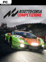 神力科莎：竞技版（Assetto Corsa Competizione）v1.0.0六项修改