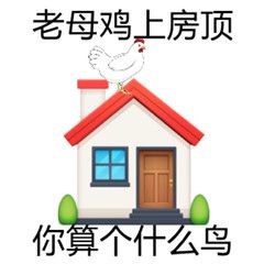 游侠网13