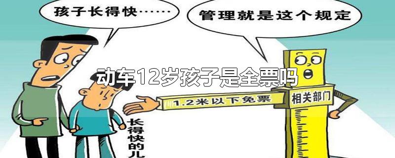 动车12岁孩子是全票吗(高铁12岁小孩是要全票还是半票)