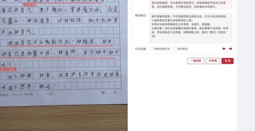 有修改作文的软件吗 什么软件可以批改作文