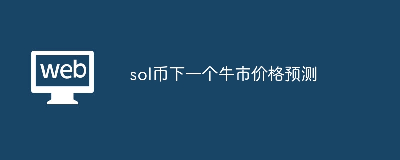 sol币下一个牛市价格预测