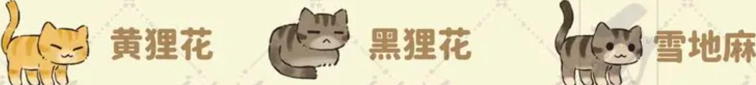 《桃源深处有人家》猫咪喜好一览