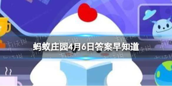 多特网1