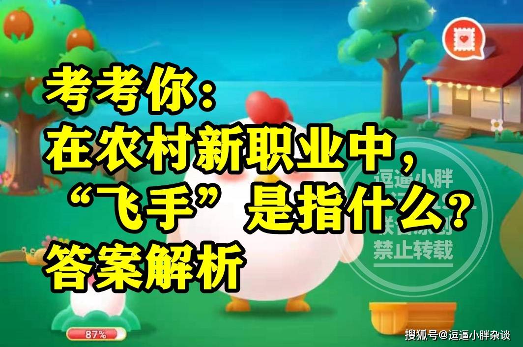 在中国农村新职业中飞手是指什么 蚂蚁新村今日答案8.21