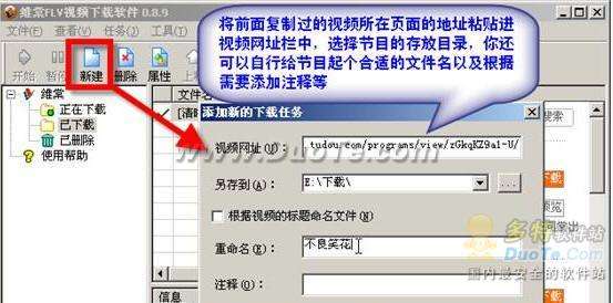 把网络视频搬回家：维棠FLV下载