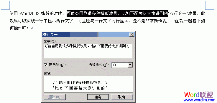 Word2003如何实现双行合一