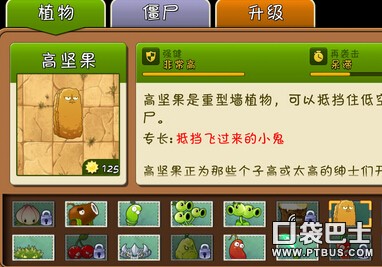 《植物大战僵尸2》坚果属性详解 坚果怎么用