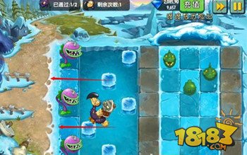 《植物大战僵尸2》冰河世界渡渡鸟历险记第1关通关攻略