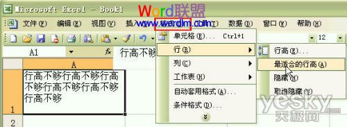 如何设置Excel2003单元格输入文字后自动调整合适行高和列宽？