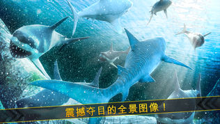 海洋 鲨鱼 危险 水族箱 世界 冒险 游戏软件截图1