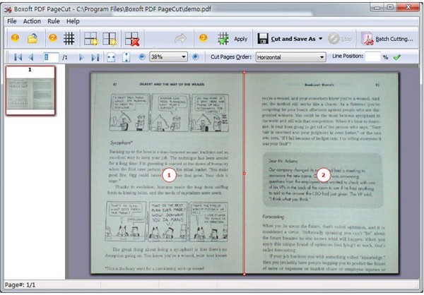 Boxoft PDF PageCut(PDF分割工具)下载