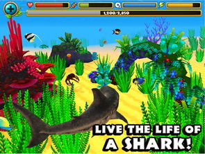 模拟鲨鱼的游戏
