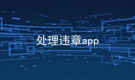 处理违章app