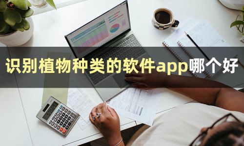 识图查物软件app