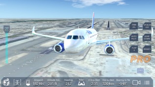 Pro Flight Simulator Dubai软件截图1