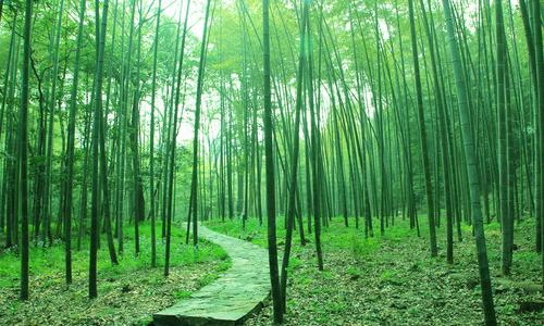 手机天气预报下载