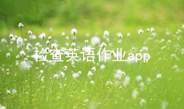 检查英语作业app