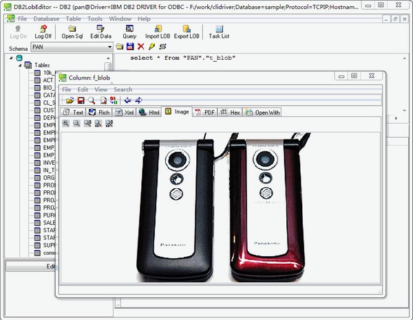 DB2LobEditor(db2数据库编辑工具)下载