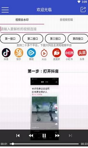 猛牛解析软件截图2