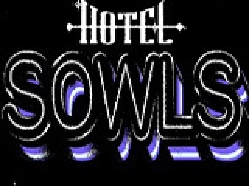 Hotel Sowls 英文版