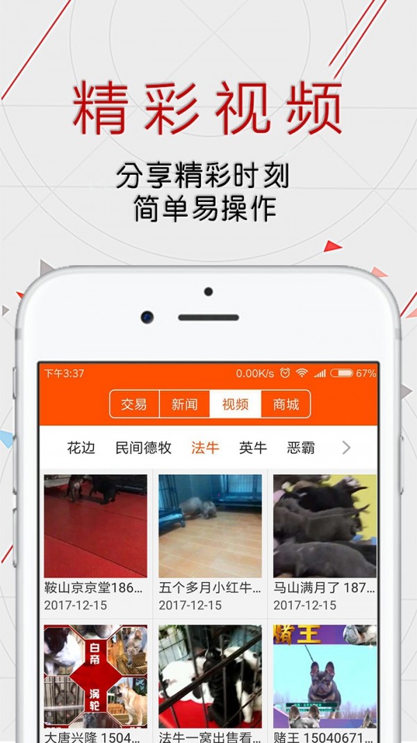 恋狗网软件截图1