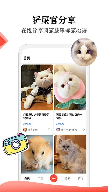 猫猫社软件截图1