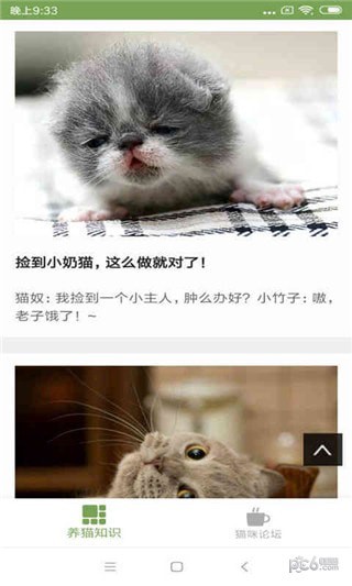 猫咪生活圈软件截图0