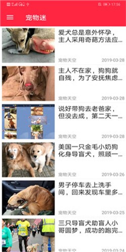 火猫宠社软件截图3