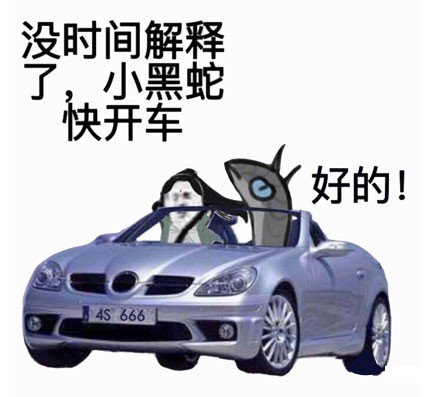 小黑蛇我们走表情包下载