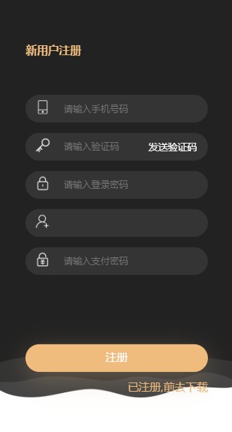 链途软件截图2