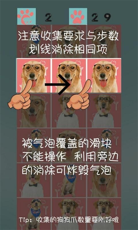 神犬小七消消乐软件截图3