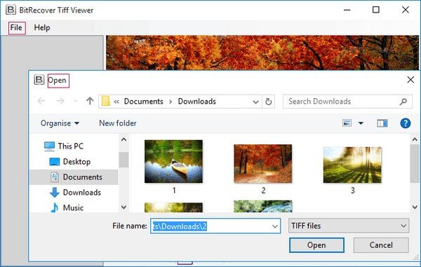 BitRecover Tiff Viewer(TIFF文件查看器)下载