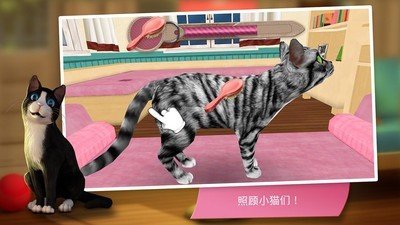 猫舍特别版软件截图2