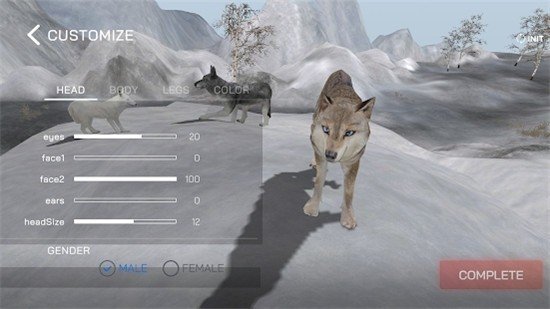 Wolf Online 2软件截图3