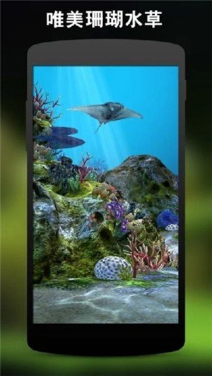 3D水族馆动态壁纸2020软件截图2