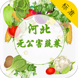 河北无公害蔬菜