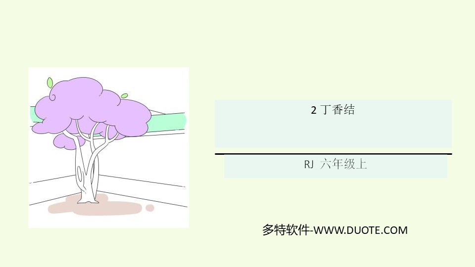 《丁香结》PPT免费下载下载