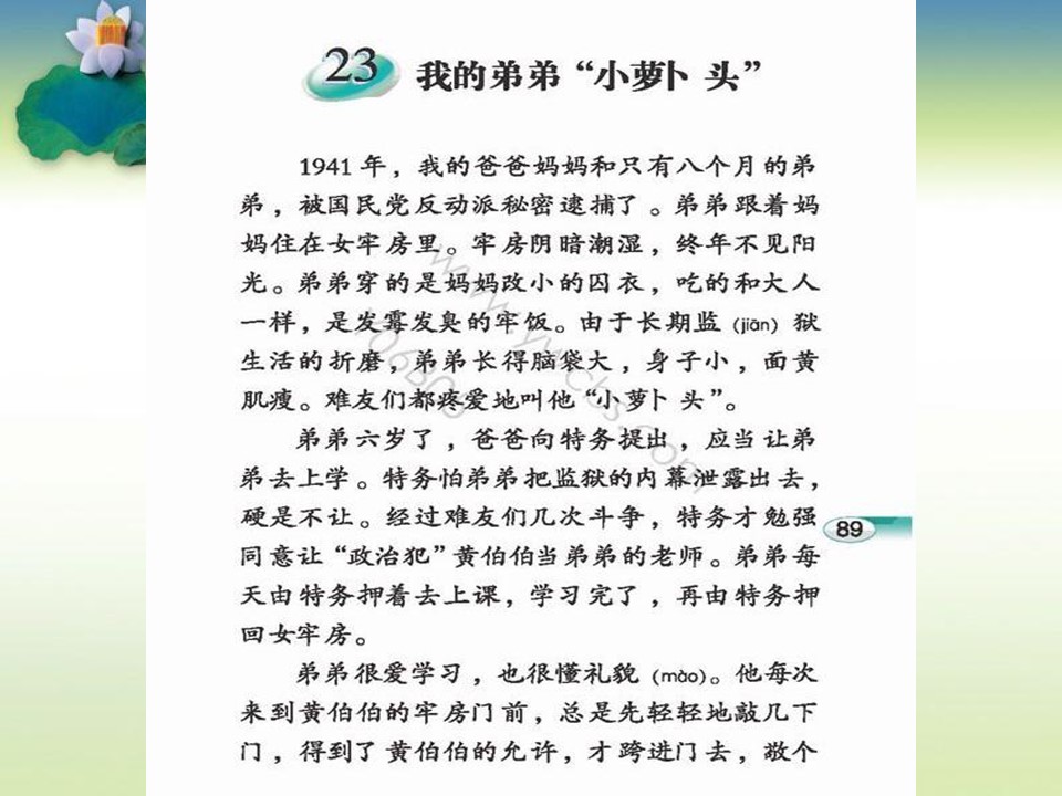 《小萝卜头的故事》PPT课件2下载