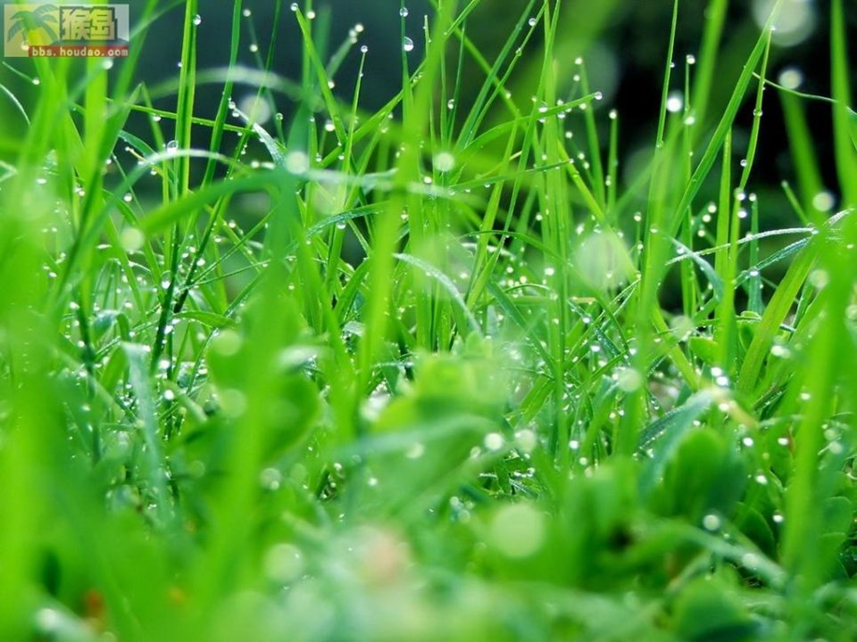 《下雨天真好》PPT课件3下载