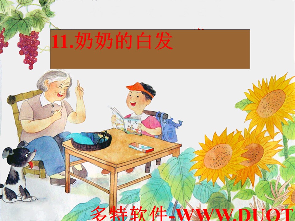 《奶奶的白发》PPT课件3下载