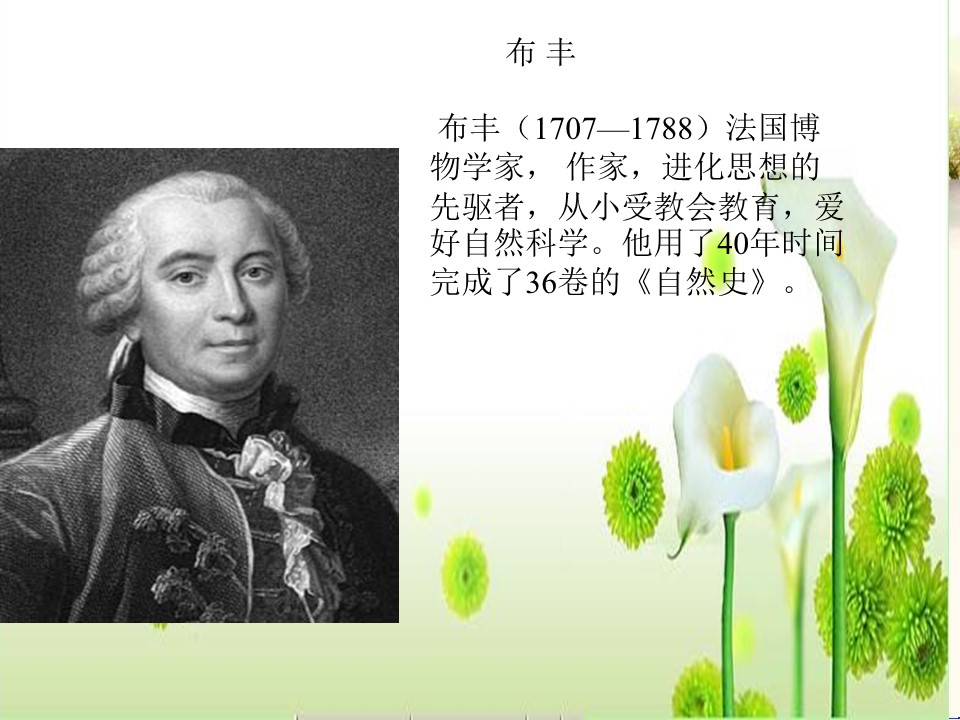 《松鼠》PPT课件2下载