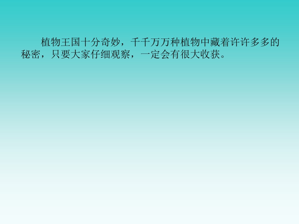 《植物妈妈有办法》PPT教学课件下载3下载