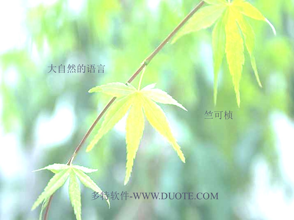 《大自然的语言》PPT课件2下载